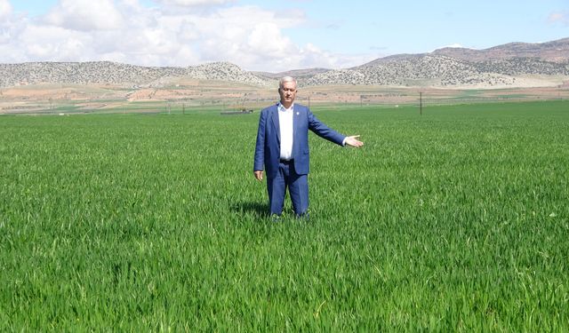 Yağışlar üreticinin yüzünü güldürdü