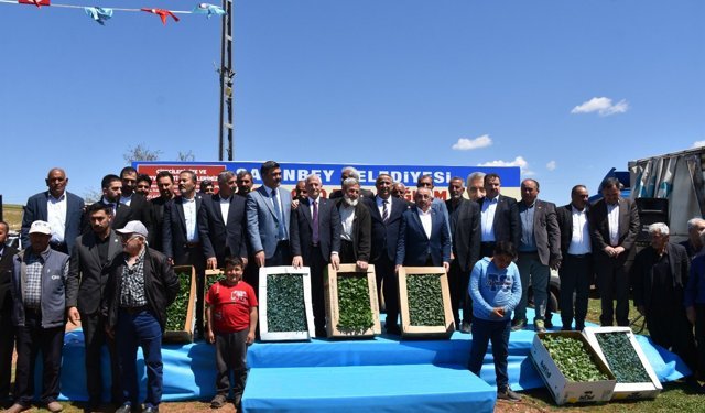 Şahinbey Belediyesin'den çiftçilere fide desteği