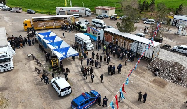 Gaziantep’te çiftçilere 5 milyon sertifikalı fide desteği