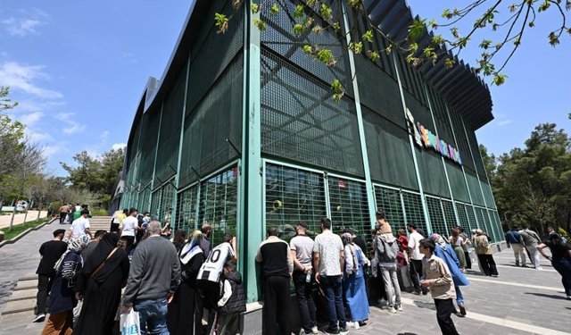 Yavru şempanze ziyaretçilerin maskotu oldu