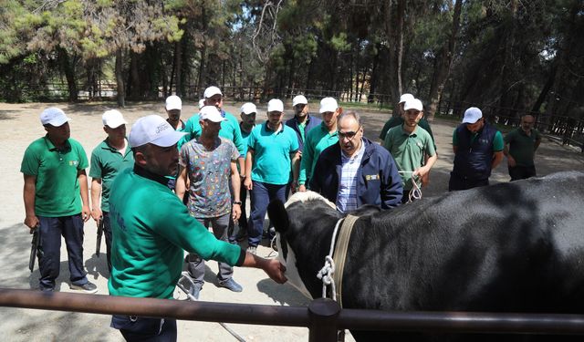 Gaziantep'te kurban yakalama timi göreve hazır