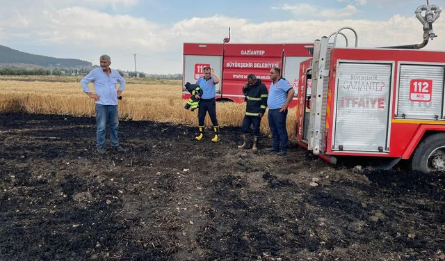 Buğday tarlasında yangın: 5 dönüm zarar gördü
