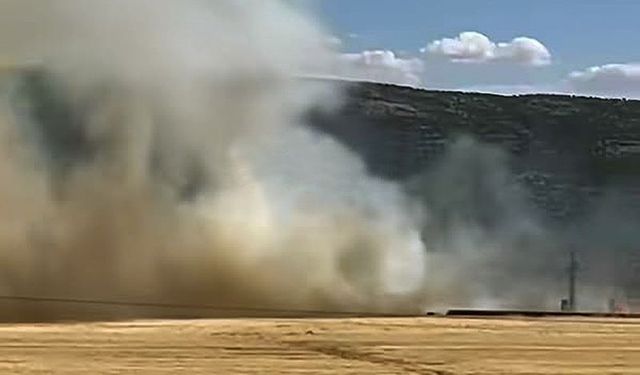 Araban’da buğday tarlasında yangın: 93 dönüm zarar gördü