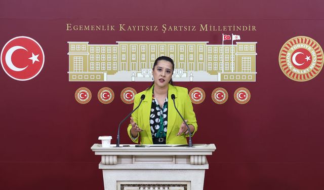 Karaca: “Siyasete yönelik tehditler kabul edilemez”