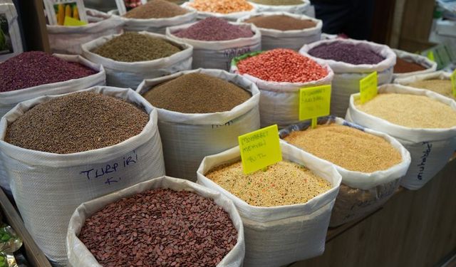 Yerli tohum üretiminde örnek hikâye