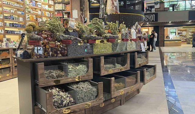 Yaz aylarında ter kokusuna bitkisel çözüm