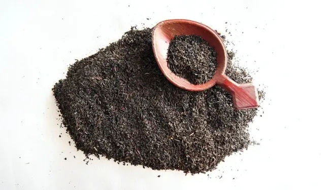Türk çayı ihracatında yeni rekor