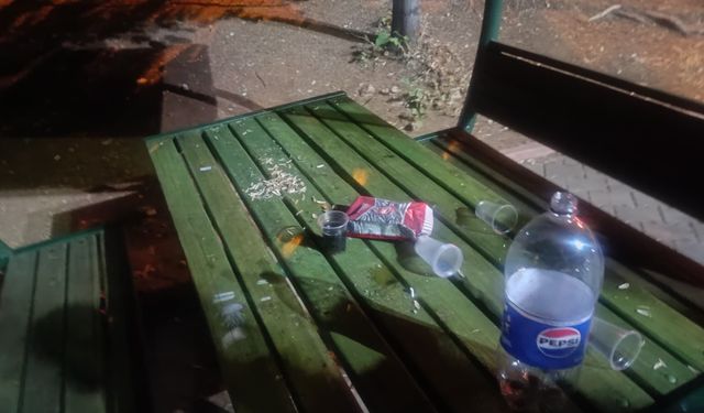 Gaziantep'te çevreyi kirletenlere ceza kesildi