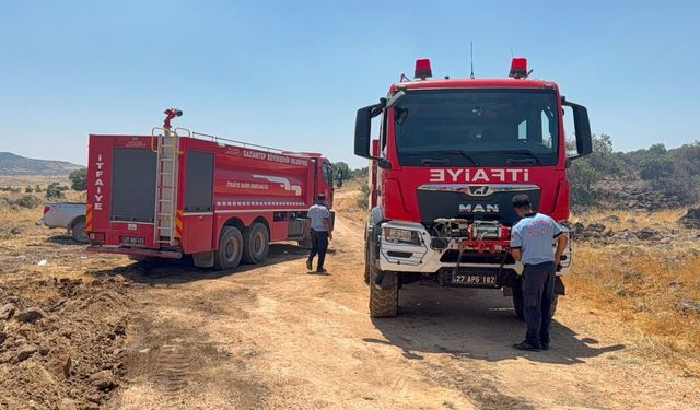 Gaziantep’te korkutan orman yangını