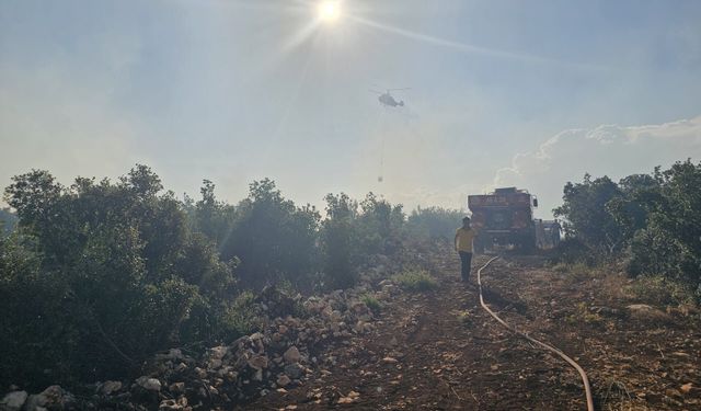 Nurdağı'ndaki orman yangını kontrol altına alındı