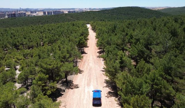 Gaziantep'te orman yangınlarına karşı dronlu sıkı denetim