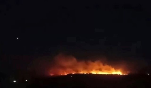 Gaziantep'te ormanlık alan alevlere teslim oldu