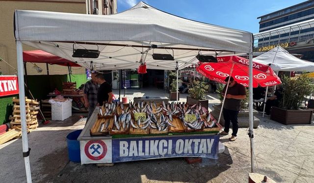 Karadeniz’de balık bolluğu beklentisi sürüyor