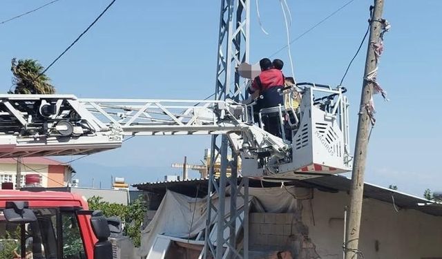 Elektrik direğinde asılı halde bulundu