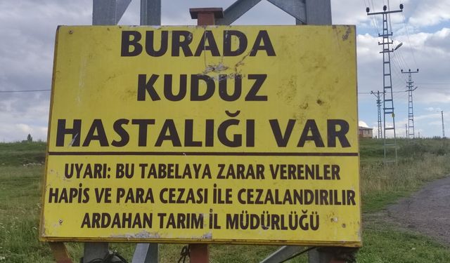 "Burada kuduz hastalığı var" tabelası dikkat çekti