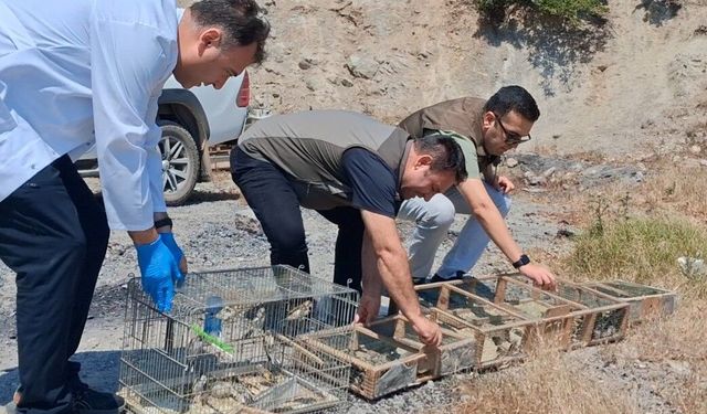 Avlanan 175 saka kuşu artık özgür