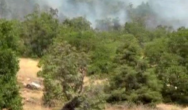 Dağlık alanda ulaşılamayan örtü yangını