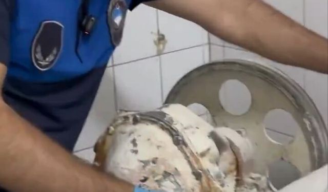 Şahinbey "de ekmek fırınında skandal görüntüler !