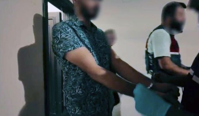 DEAŞ operasyonu: 1 tutuklama