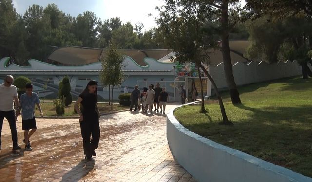 Yırtıcı Adası ziyaretçilerini ağırlamak için gün sayıyor