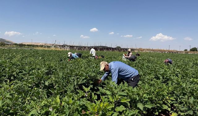 Gaziantep'te kış hazırlığı başladı