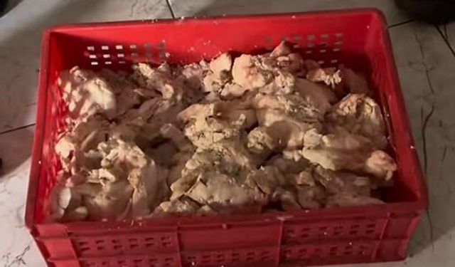 Gaziantep’te mide bulandıran görüntü! Zabıta ekipleri ortaya çıkardı