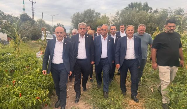 Yeni Parti Bafra’da tarım sorunlarını sahada dinledi
