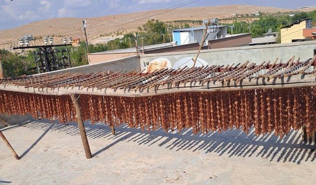 Gaziantep’te cevizli sucuk ve bastık mesaisi başladı