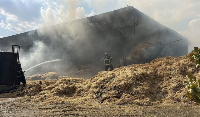 Gaziantep'te samanlık alevlere teslim oldu