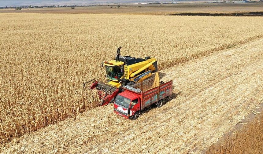 Tarım Ürünlerinde Üretici Fiyatları Yükselişini Sürdürüyor