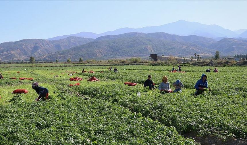 Mevsimlik tarım işçileri için ne kadar kaynak ayrıldı