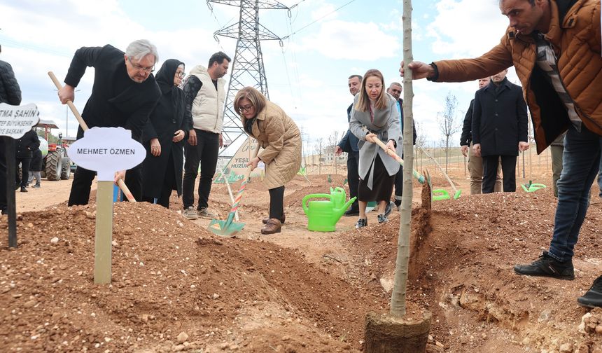 Gaziantep Büyükşehir, 330 bin metrekare alan ağaçlandırdı