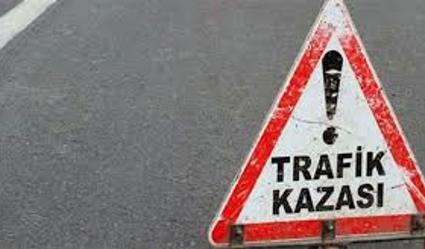 TAG otoyolunda korkutan yangın!