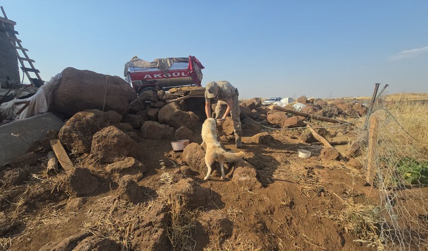 Gaziantep'te yangında mahsur kalan köpekleri jandarma kurtardı