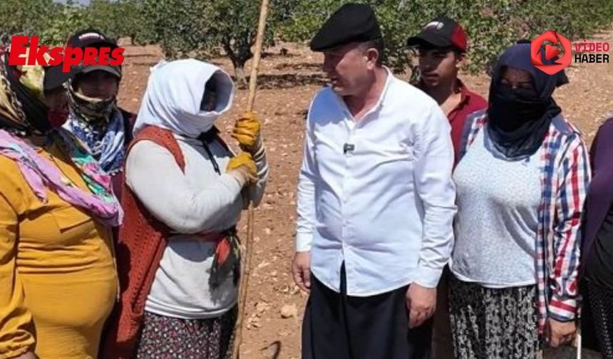 Ali Doğan, şalvarı giydi