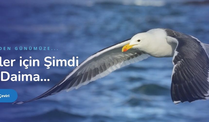 İtalyanca Türkçe Çeviri ve Sözlü Tercüme Ücretleri