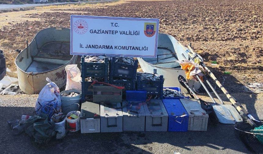 Gaziantep'te dev operasyon: 400 kilo balık yakalandı