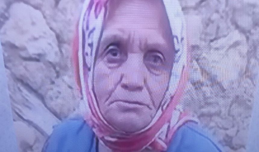 82 Yaşındaki Kadın Ormanda Ölü Bulundu
