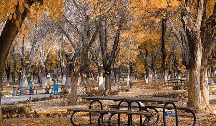 Gazel tepelemek ne demektir?