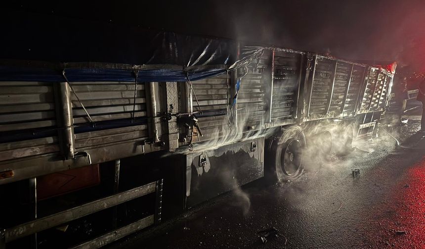 Mısır yüklü tır alev aldı