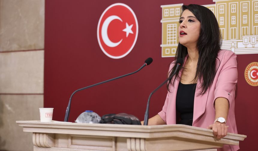 Gazeteci gözaltılarına Karaca’dan tepki