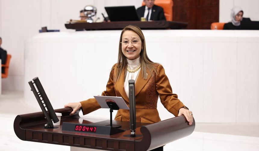 Derya Bakbak TBMM’de dikkat çeken açıklamalarda bulundu