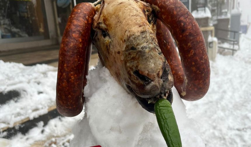 Kardan kuzu yaptılar