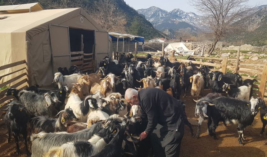 Devlet desteğiyle hayata tutundu