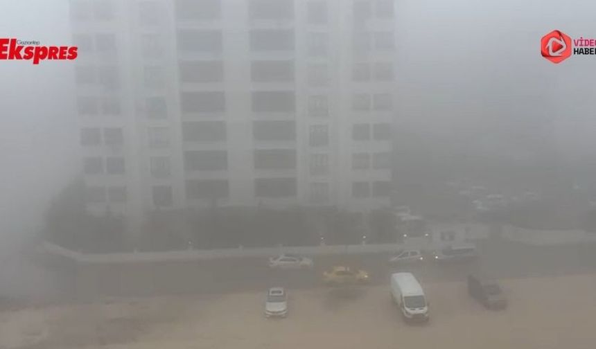 Gaziantep'te yoğun sis etkili oldu
