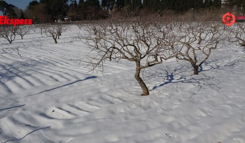 Gaziantep’te kar yağışı tarıma nefes aldırdı
