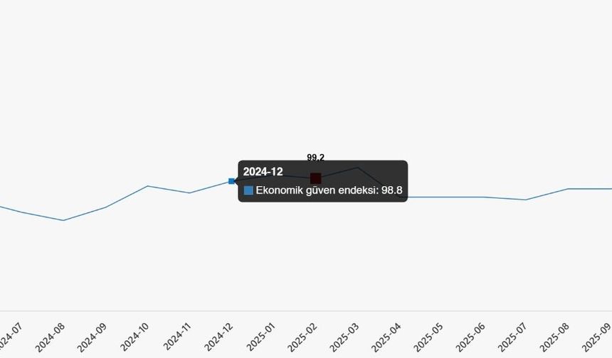 Türkiye İstatistik Kurumu verileri gerçeği yansıtıyor mu?