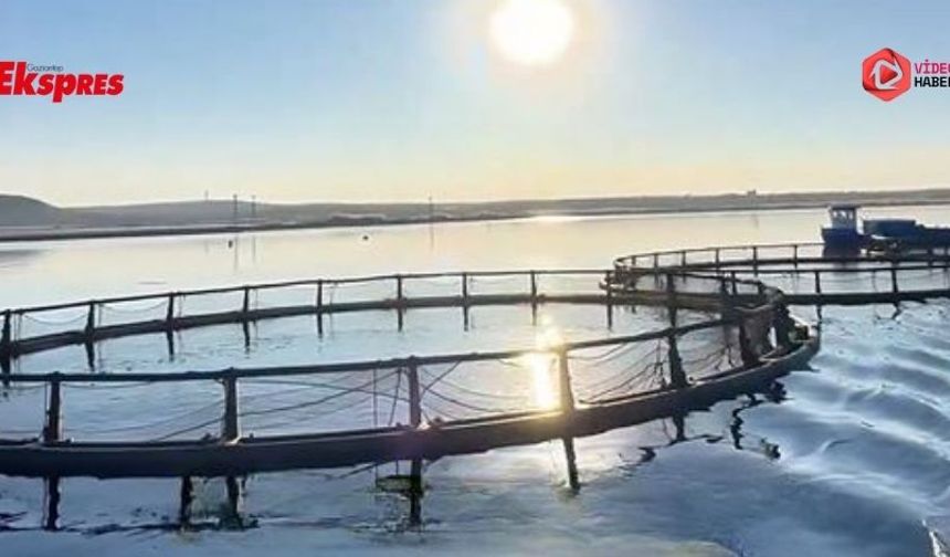 Fatma Şahin Karkamış için yeni projeyi açıkladı