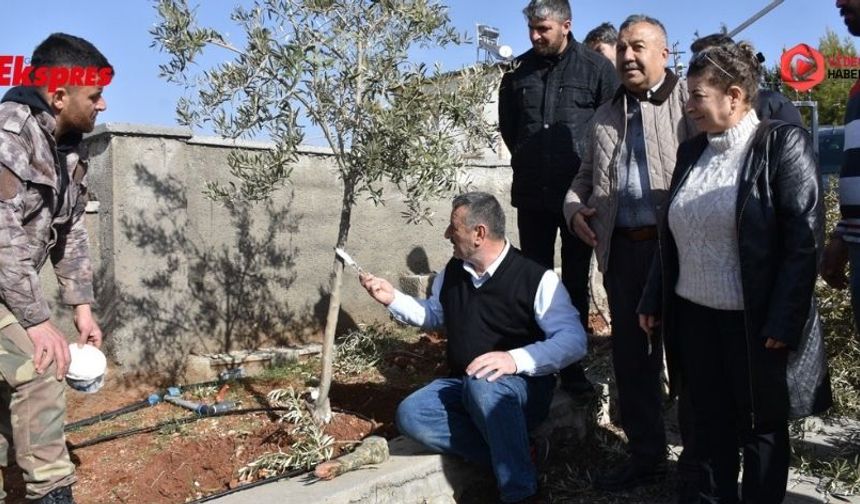 Gaziantep’te çiftçiye budama desteği