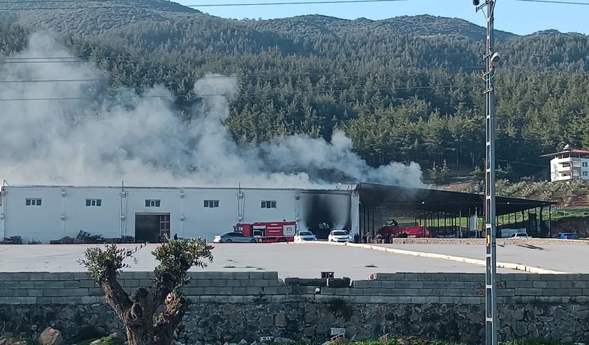 İslahiye’de biber fabrikasında korkutan yangın